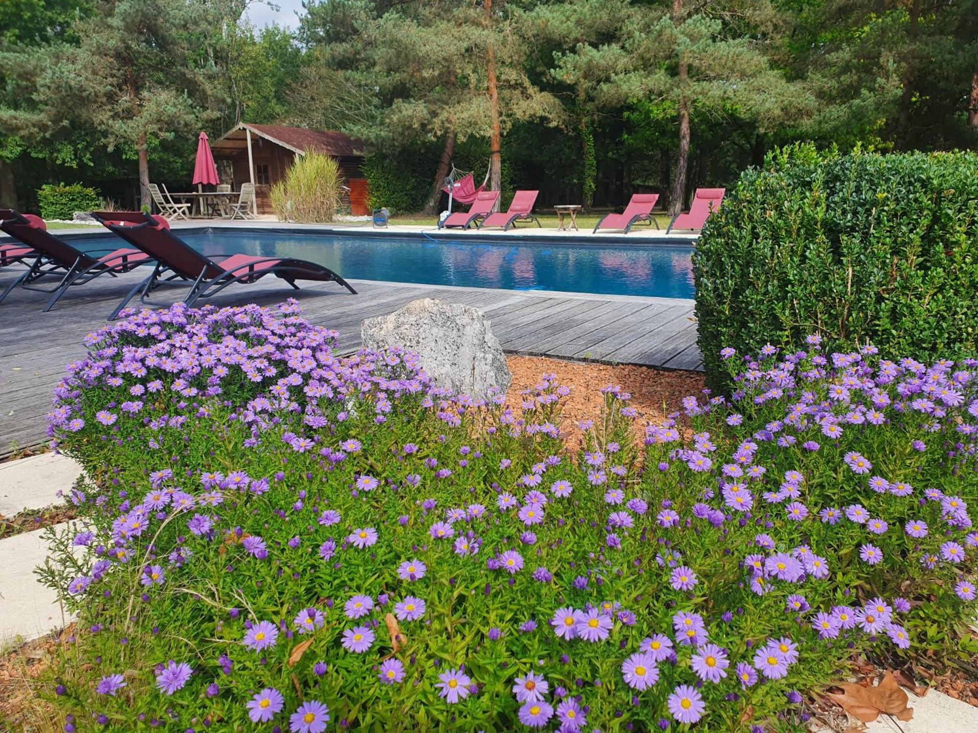 Вилла Domaine De Grand-Pas Vernou-en-Sologne Экстерьер фото