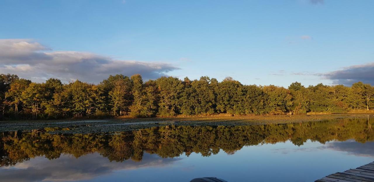 Вилла Domaine De Grand-Pas Vernou-en-Sologne Экстерьер фото